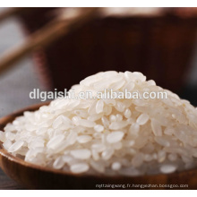 sushi rice suppliers in china